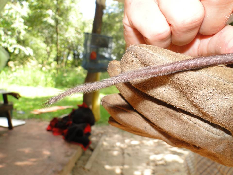 FIGURE 8 FIGURE 8